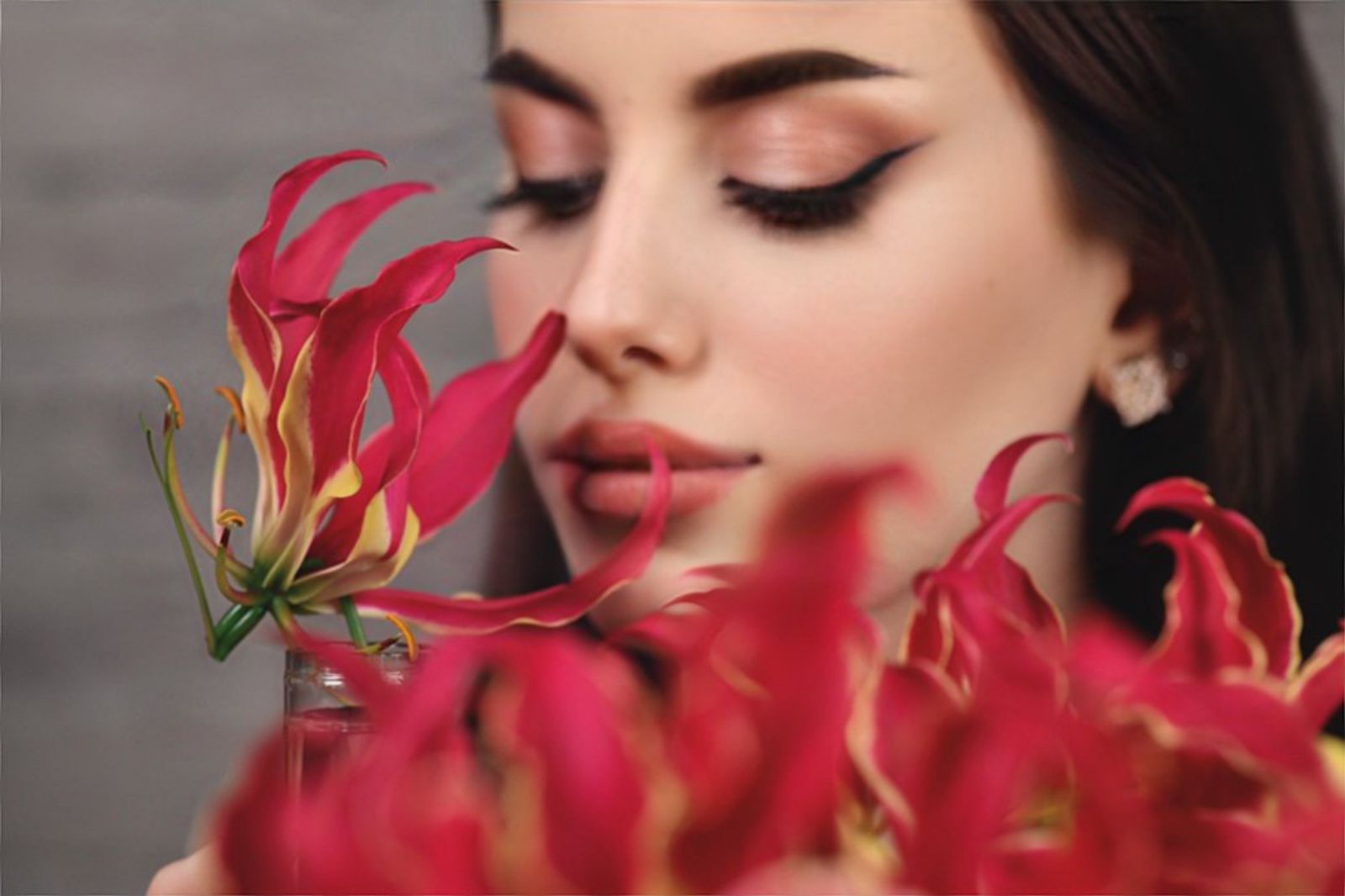 Shop Page 13 Tulip Flowers Tr