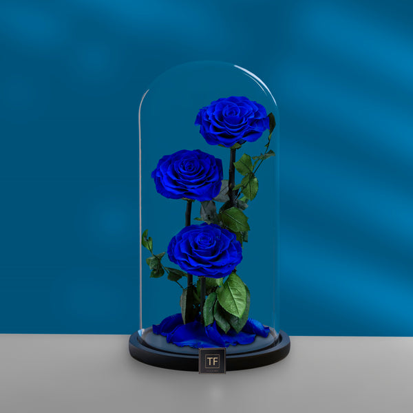 Blue Trio infiniti rose