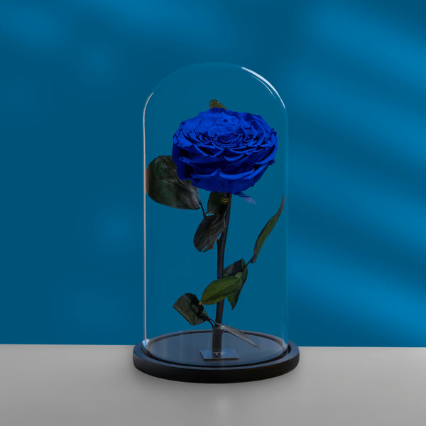 Infinity Rose " Blue"