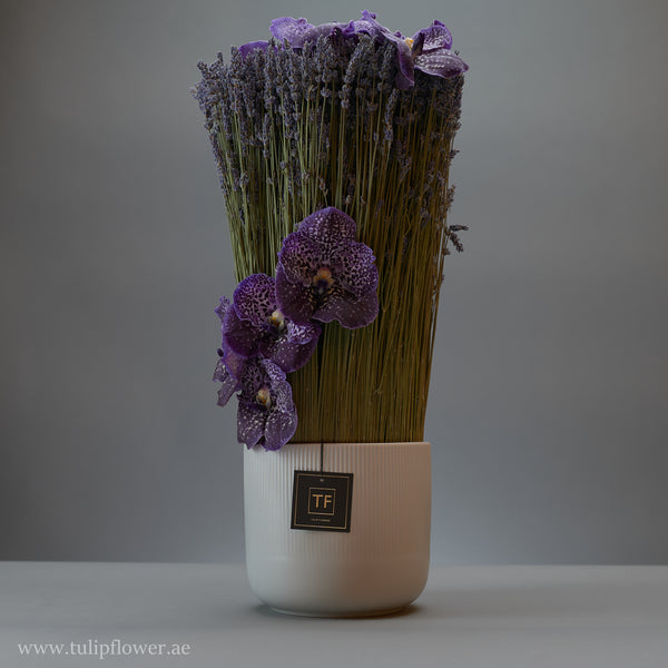 lavender - Tulip Flowers Tr LLC.