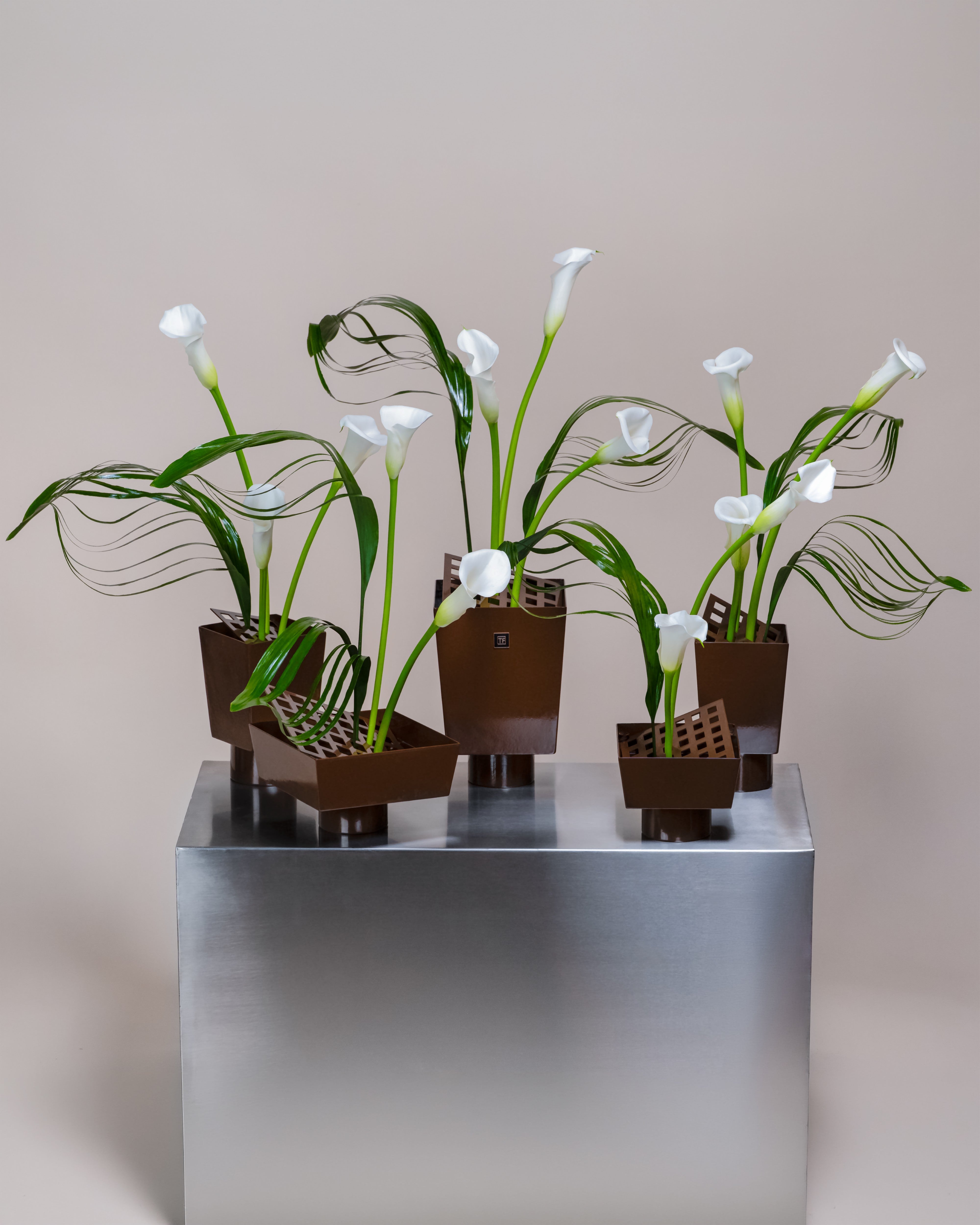 Calla Llc Calla Collective – Tulip Flowers Tr LLC.