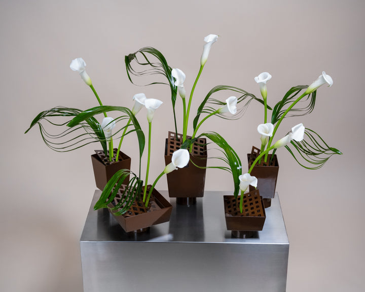 Calla Llc Calla Collective – Tulip Flowers Tr LLC.