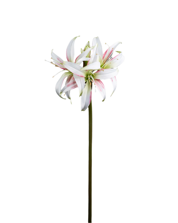 Artificial Amaryllis Stem cr/pnk
