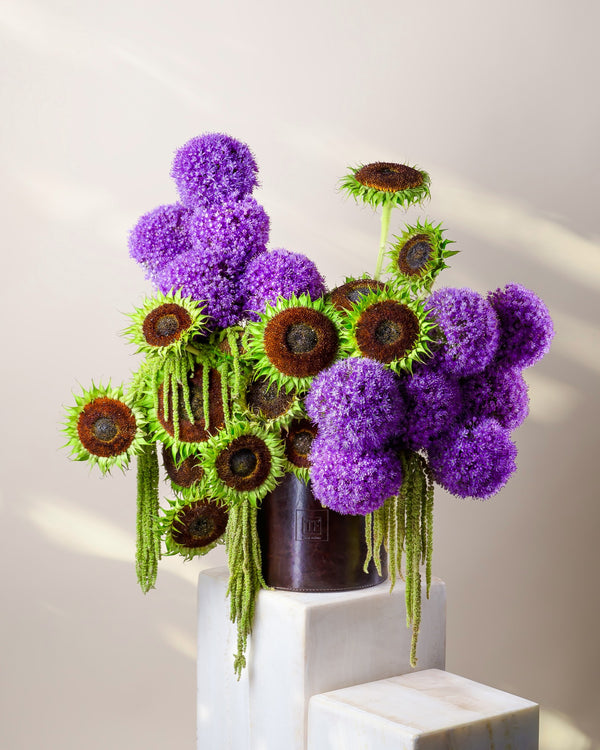 Nigella