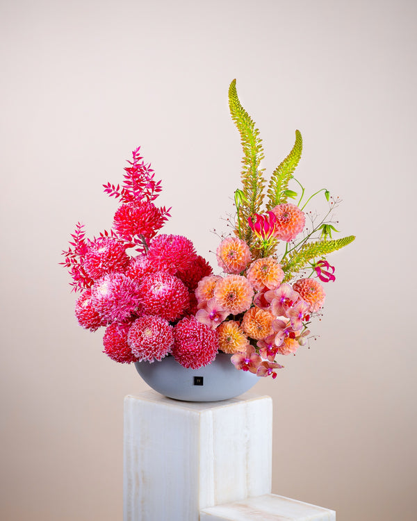 Solflora