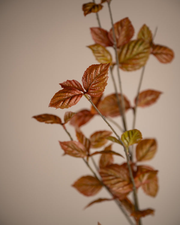 Leaf Spray Brown