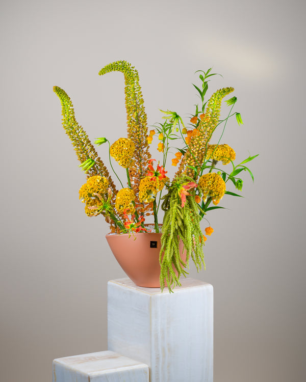 Marigold