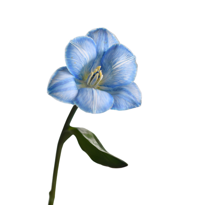 Tulip Flowers "Blue" - Tulip Flowers Tr LLC.