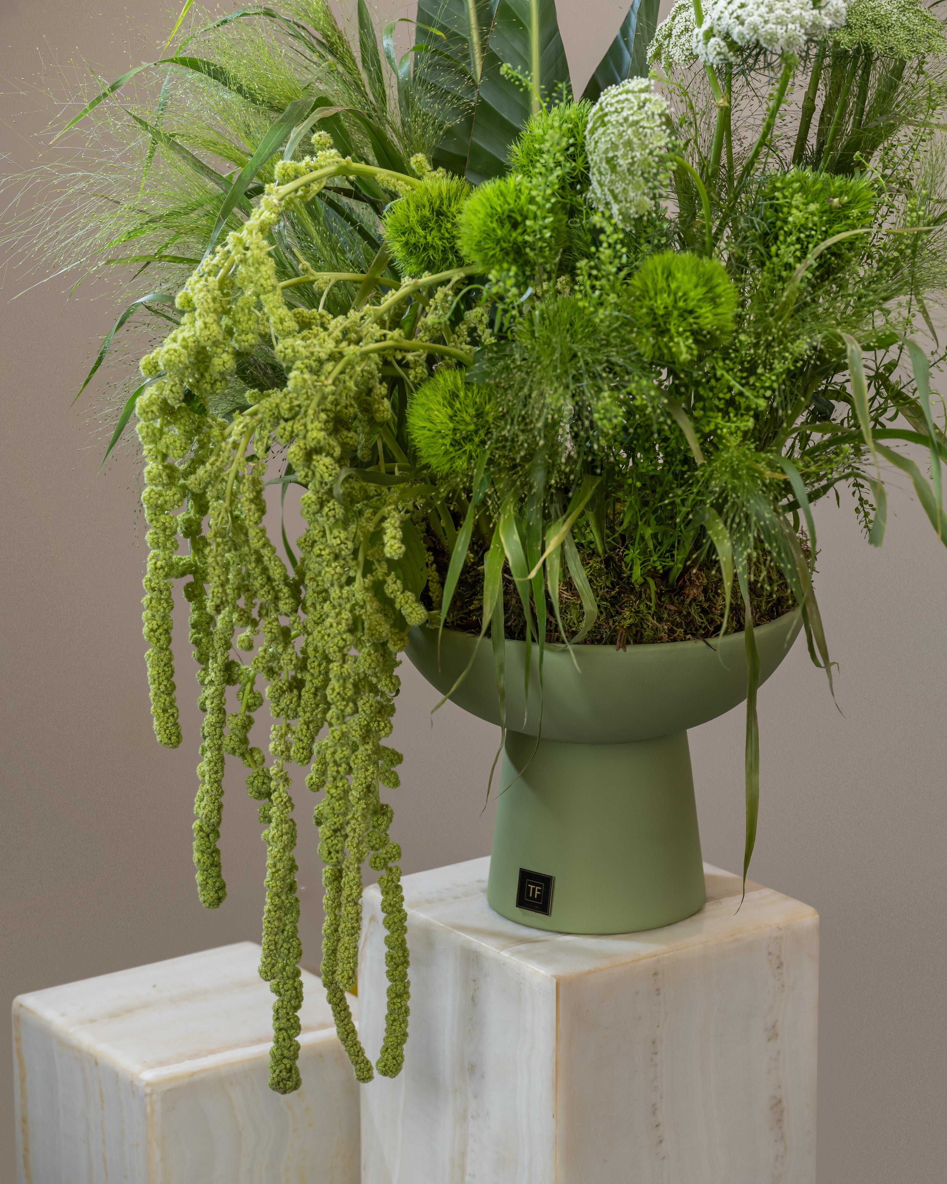 Sylvan – Tulip Flowers Tr LLC.