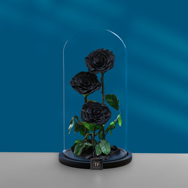 Black Trio Infinity Rose