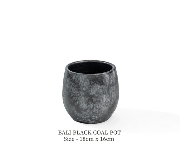 BALI BLACK POT