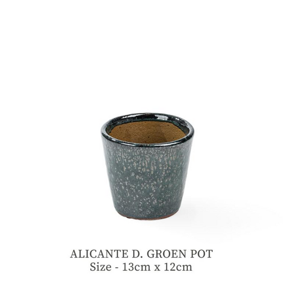 pot 201241