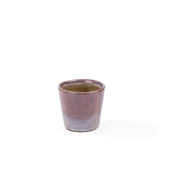 pot 201281