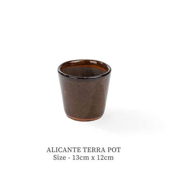 ALICANTE POT