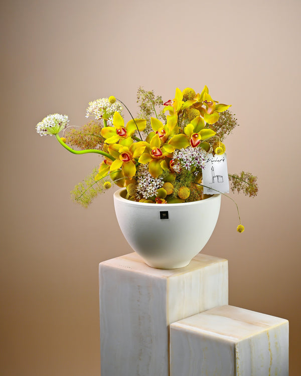 Calanthe