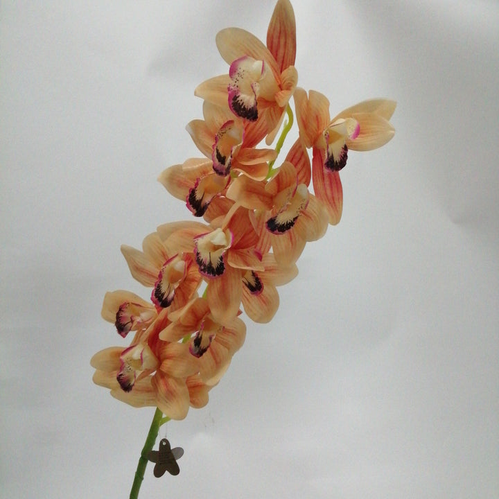 cymbidium  orange artificial - Tulip Flowers Tr LLC.