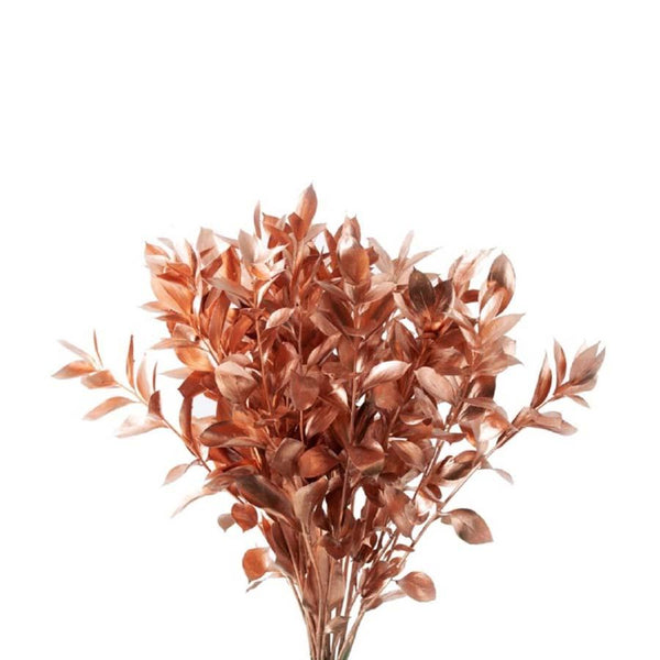 CUTGREENS RUSCUS DYED COPPER - Tulip Flowers Tr LLC.