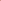 ANTHURIUM CANTELLO - Tulip Flowers Tr LLC.