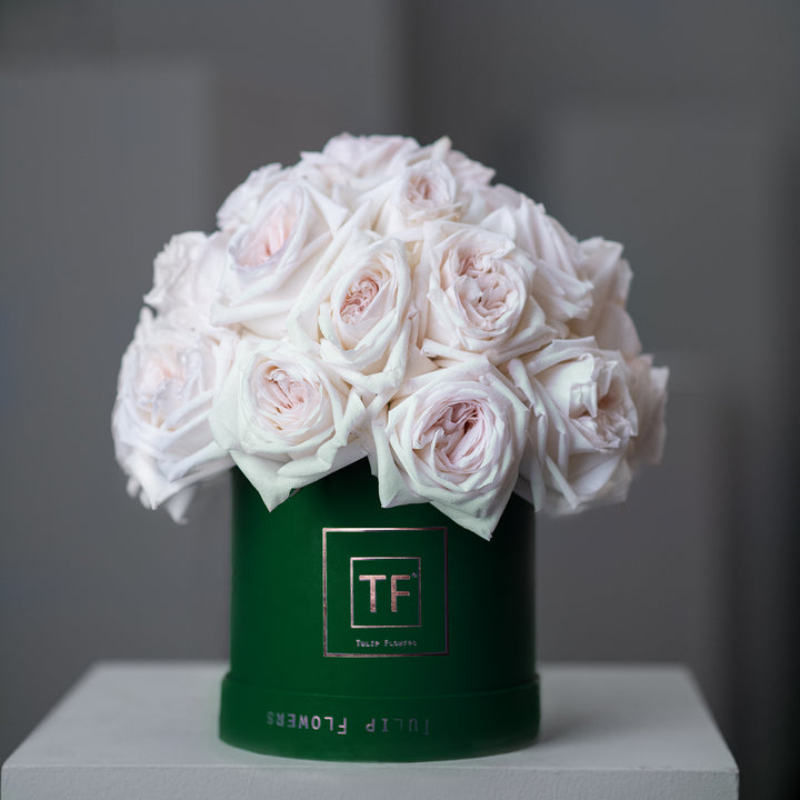 TF Flower Box "Collection" - Tulip Flowers Tr LLC.