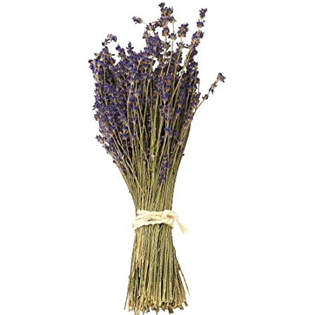 LAVENDER DRIED SUPER BLUE - Tulip Flowers Tr LLC.