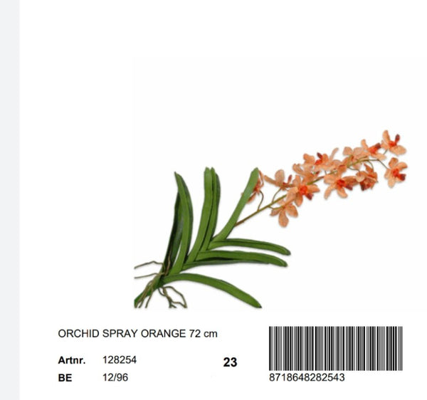 orchid spray orange