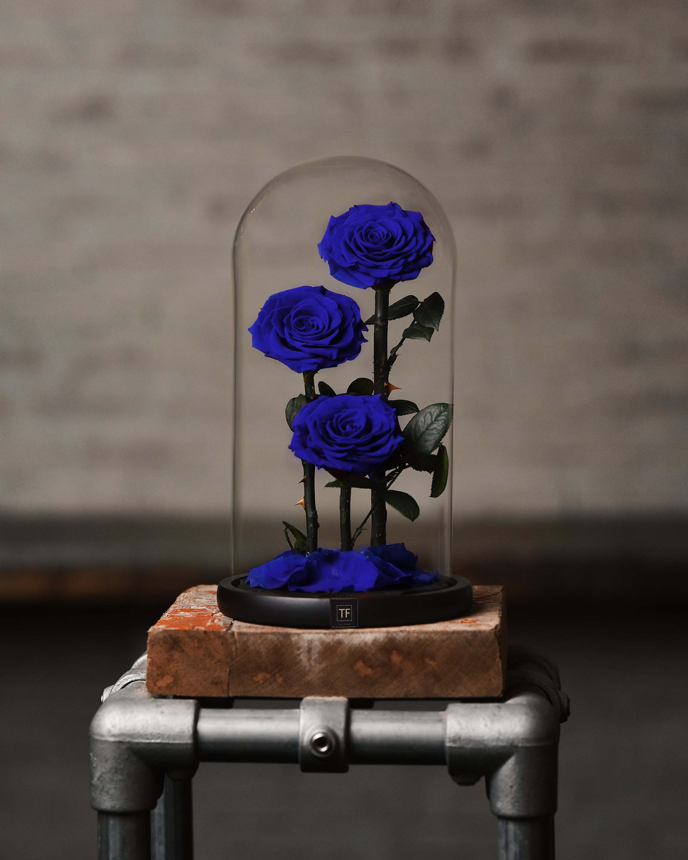 Blue Trio infiniti rose – Tulip Flowers Tr LLC.
