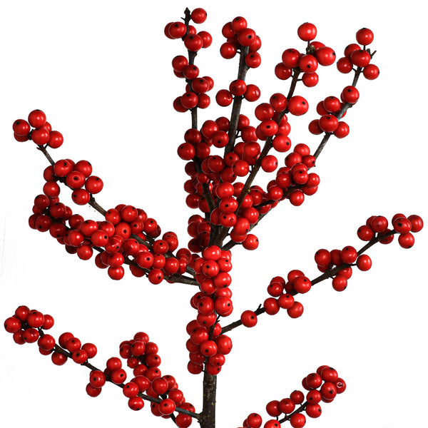 Red Ilex - Tulip Flowers Tr LLC.